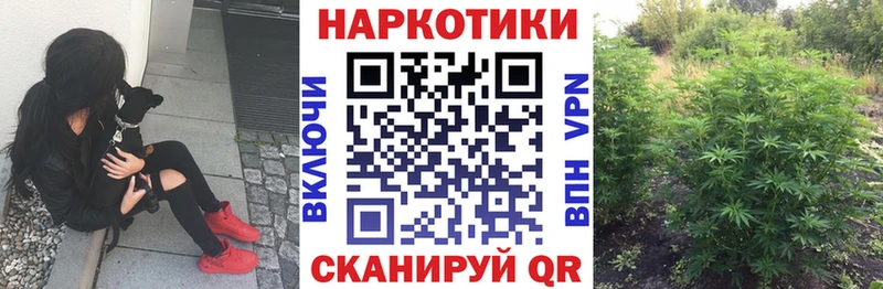 Наркошоп купить АМФ Мефедрон ГАШ Каннабис Балахна