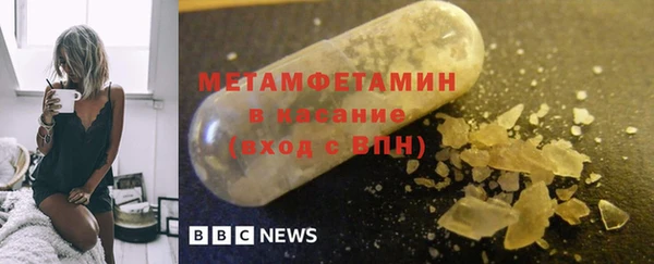 прущие грибы Дмитриев