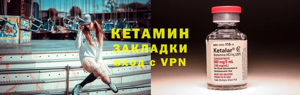 прущие грибы Дмитриев