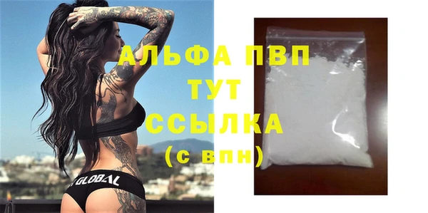 прущие грибы Дмитриев
