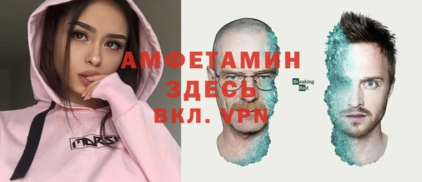 прущие грибы Дмитриев