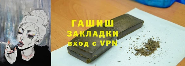 прущие грибы Дмитриев