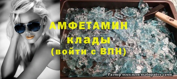 прущие грибы Дмитровск