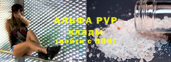 прущие грибы Дмитриев