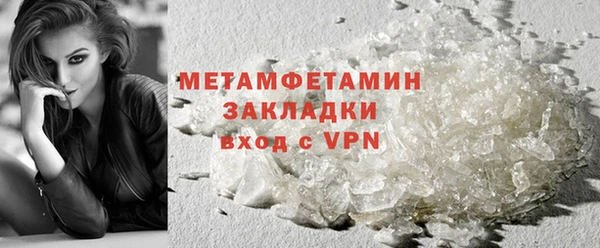 прущие грибы Дмитриев