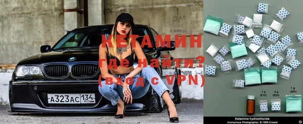 прущие грибы Дмитровск