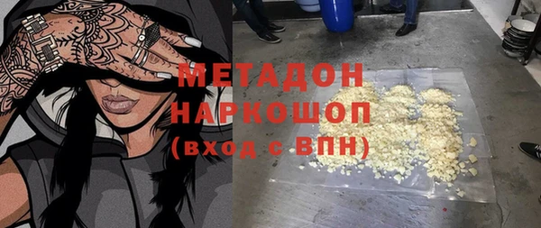 прущие грибы Дмитровск