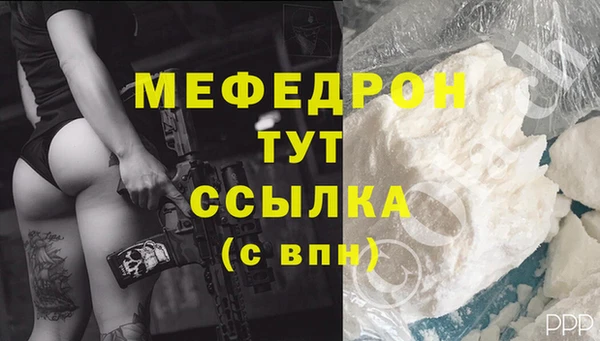 прущие грибы Дмитровск