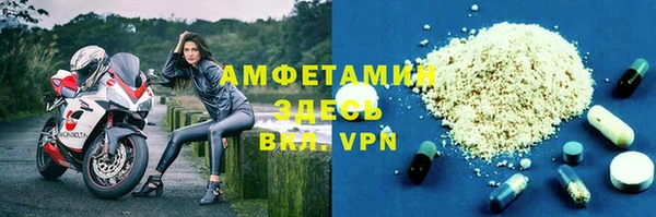 прущие грибы Дмитровск