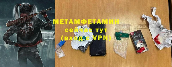 прущие грибы Дмитровск