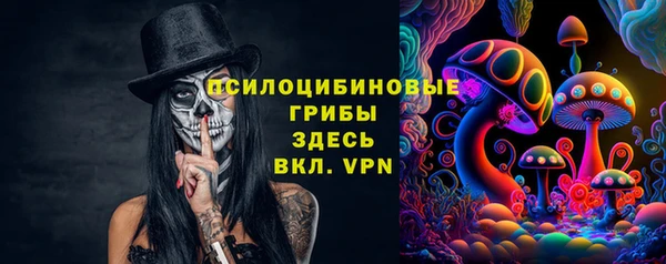 прущие грибы Дмитровск