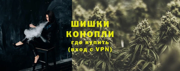 прущие грибы Дмитриев