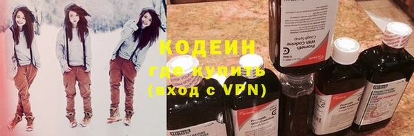 прущие грибы Дмитриев