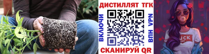 Купить закладки  Балахна  Дистиллят ТГК жижа 